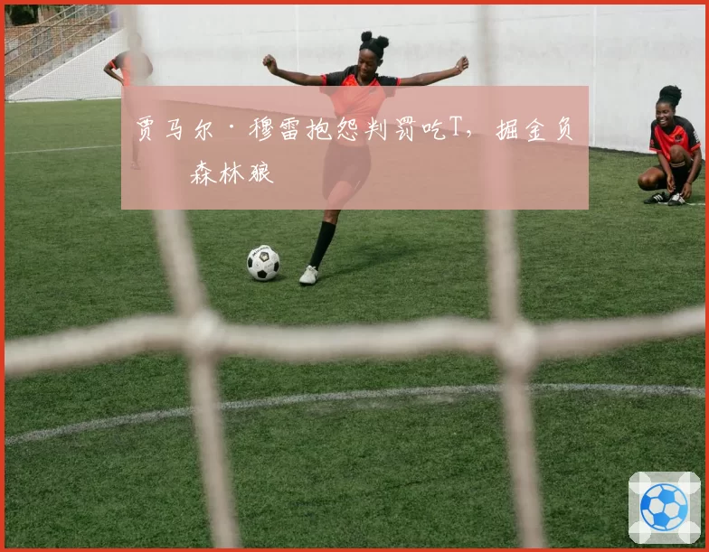 贾马尔·穆雷抱怨判罚吃T,掘金负于森林狼