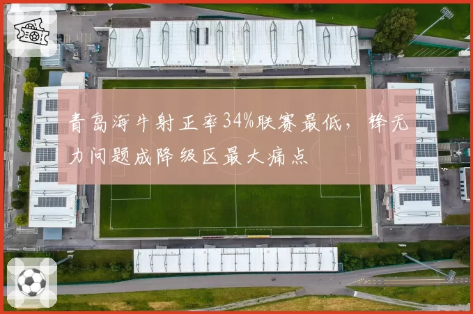 青岛海牛射正率34%联赛最低,锋无力问题成降级区最大痛点