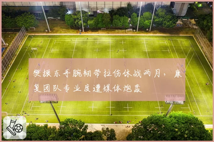 樊振东手腕韧带拉伤休战两月，康复团队专业度遭媒体炮轰